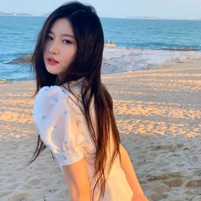 谍网纵横